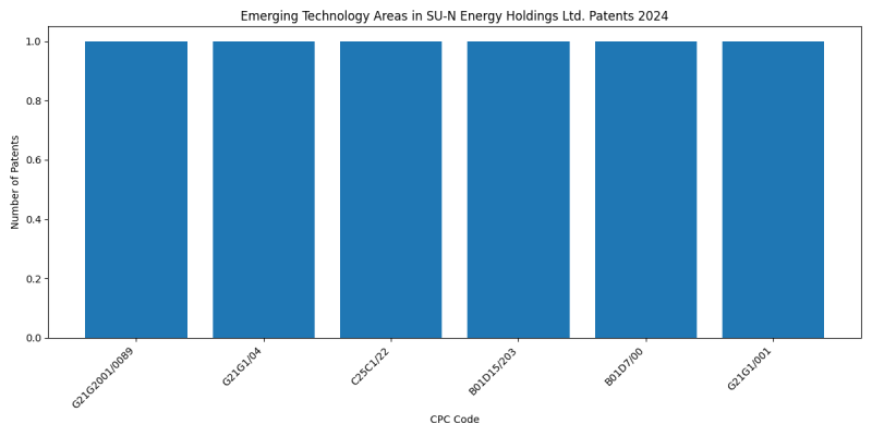 SU-N Energy Holdings Ltd. Top Emerging Technology Areas 2024 - Up to June 2024