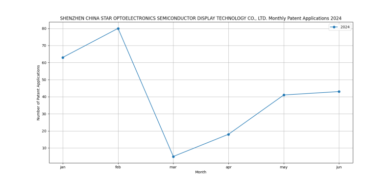 SHENZHEN CHINA STAR OPTOELECTRONICS SEMICONDUCTOR DISPLAY TECHNOLOGY CO., LTD. Monthly Patent Applications 2024 - Up to June 2024.png