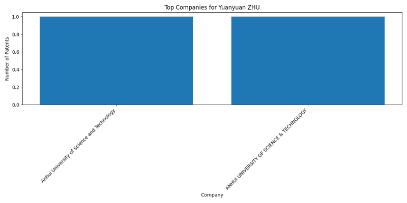 Yuanyuan ZHU Top Companies.png