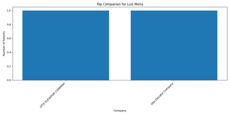 Luis Mena Top Companies.png