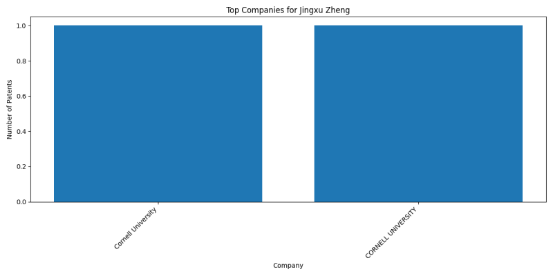 Jingxu Zheng Top Companies.png