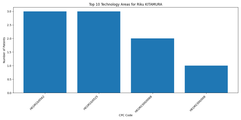 Riku KITAMURA Top Technology Areas.png