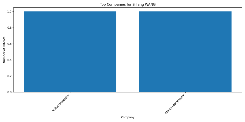 Siliang WANG Top Companies.png