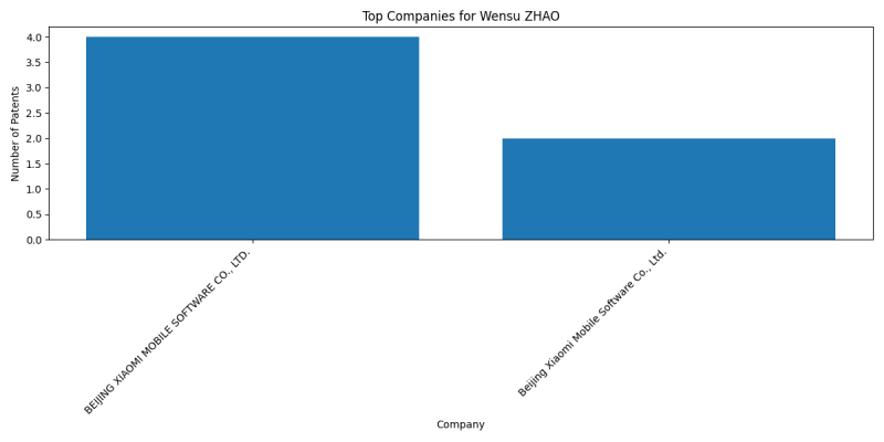 Wensu ZHAO Top Companies.png