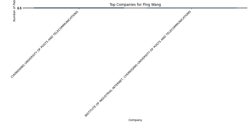 Ping Wang Top Companies.png