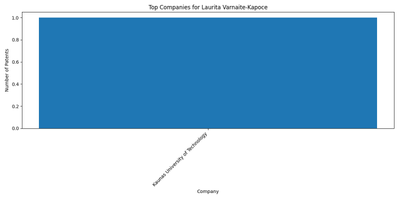 Laurita Varnaite-Kapoce Top Companies.png