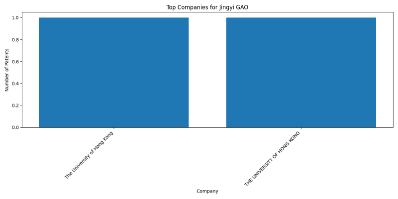 Jingyi GAO Top Companies.png