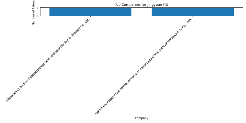 Jingyuan HU Top Companies.png