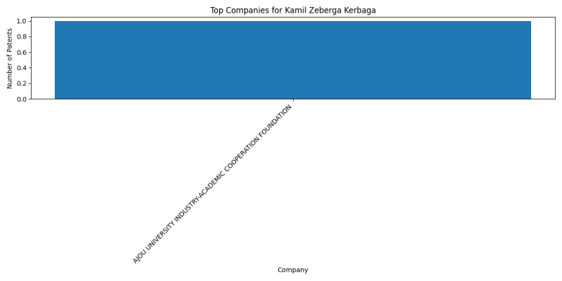 Kamil Zeberga Kerbaga Top Companies.png