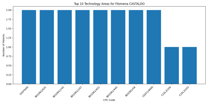 Filomena CASTALDO Top Technology Areas.png