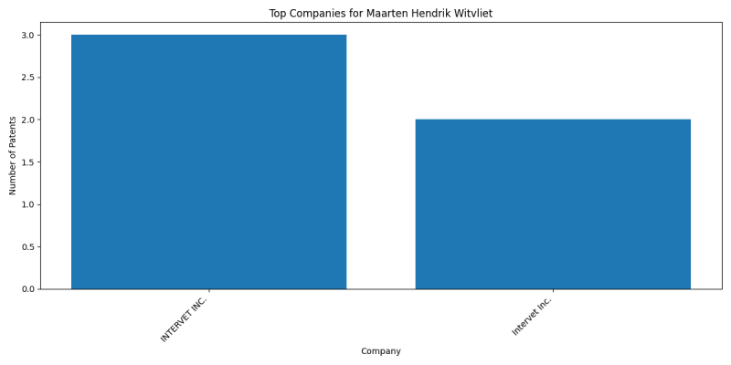 Maarten Hendrik Witvliet Top Companies.png