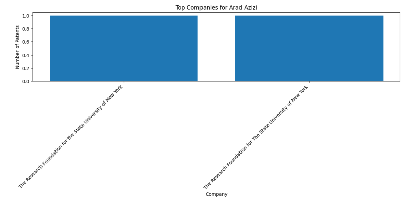 Arad Azizi Top Companies.png