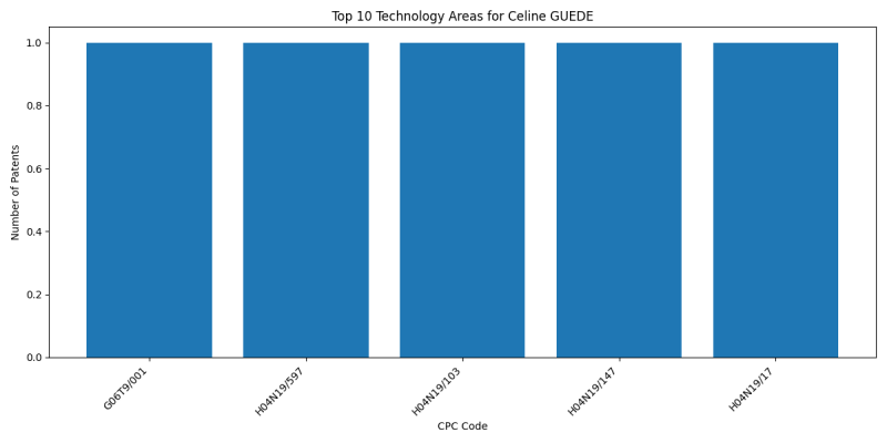 Celine GUEDE Top Technology Areas.png