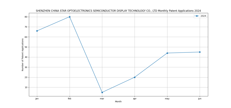 SHENZHEN CHINA STAR OPTOELECTRONICS SEMICONDUCTOR DISPLAY TECHNOLOGY CO., LTD Monthly Patent Applications 2024 - Up to June 2024.png