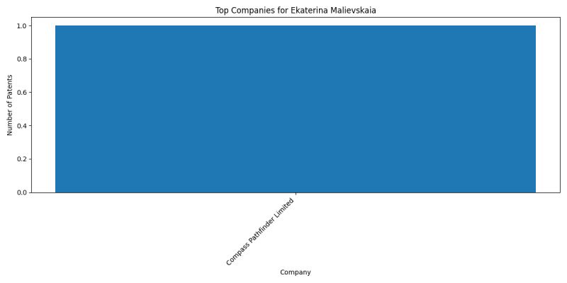 Ekaterina Malievskaia Top Companies.png