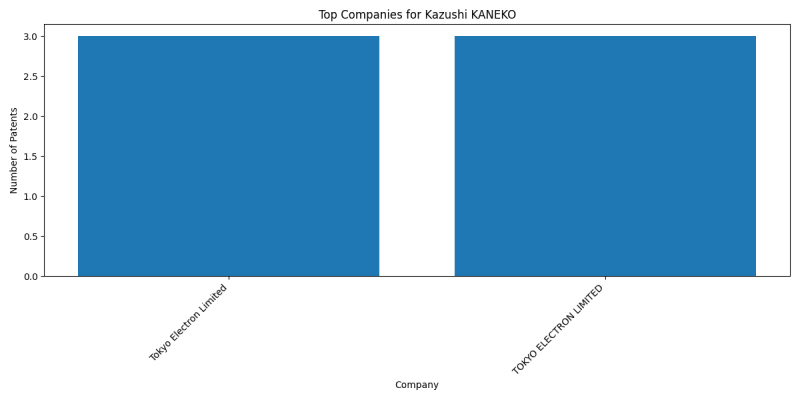 Kazushi KANEKO Top Companies.png