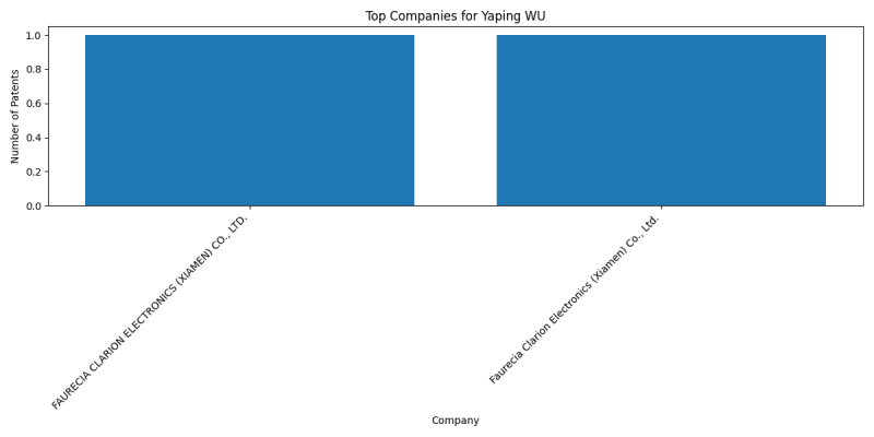 Yaping WU Top Companies.png