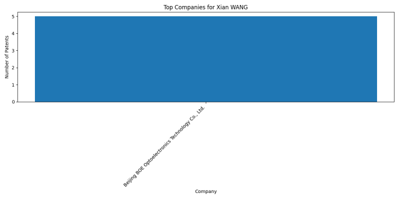 Xian WANG Top Companies.png