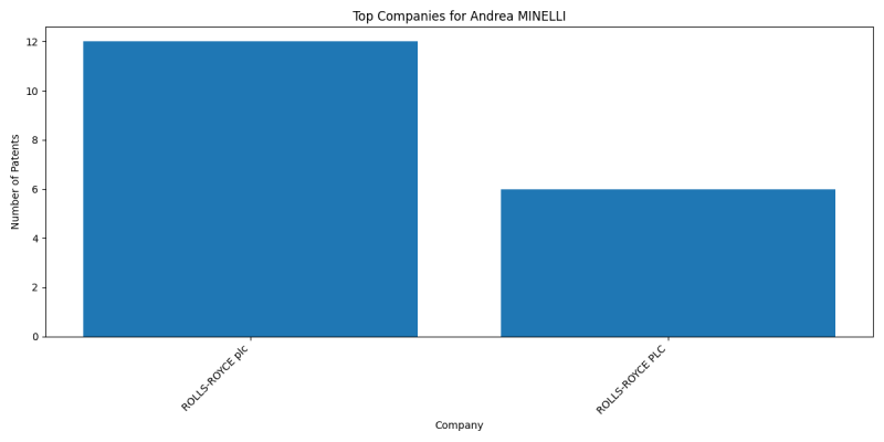 Andrea MINELLI Top Companies.png