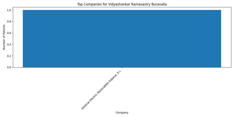 Vidyashankar Ramasastry Buravalla Top Companies.png