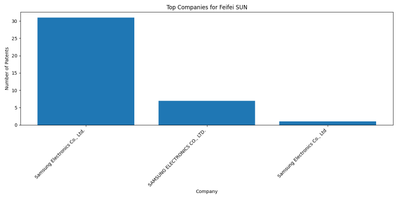 Feifei SUN Top Companies.png