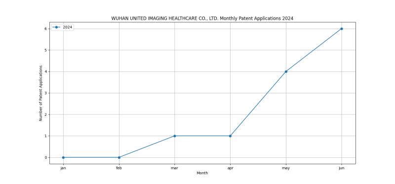 WUHAN UNITED IMAGING HEALTHCARE CO., LTD. Monthly Patent Applications 2024 - Up to June 2024.png