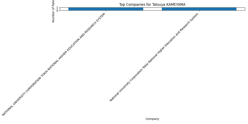 Tatsuya KAMEYAMA Top Companies.png