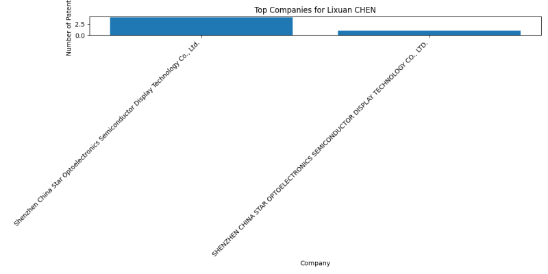 Lixuan CHEN Top Companies.png