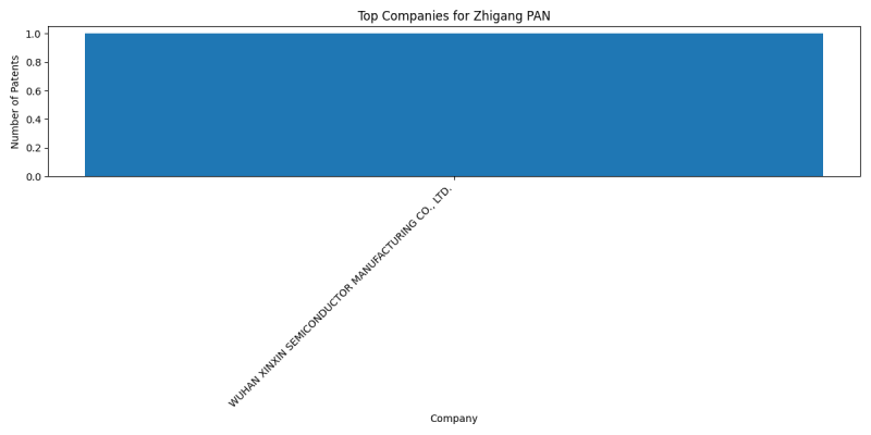 Zhigang PAN Top Companies.png