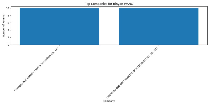 Binyan WANG Top Companies.png